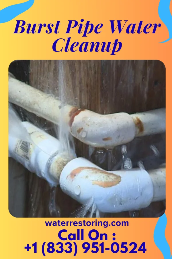 Burst Pipe Water Cleanup in Hopkinsville, KY