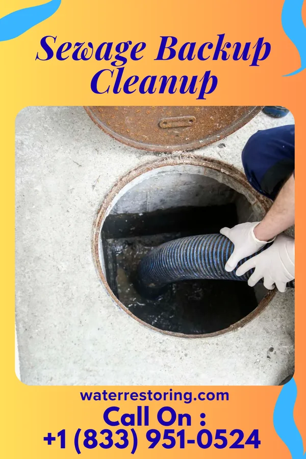 Sewage Backup Cleanup in Hopkinsville, KY
