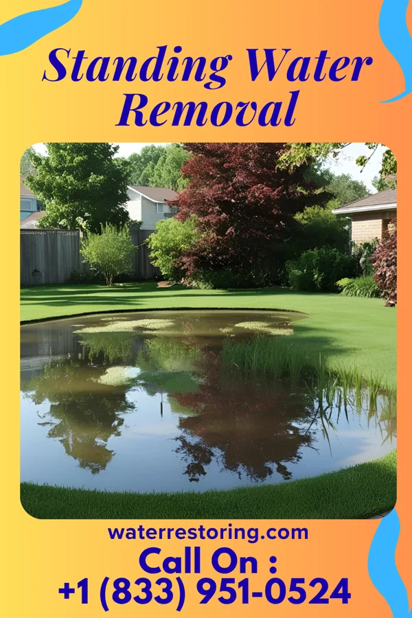Standing Water Removal in Hopkinsville, KY